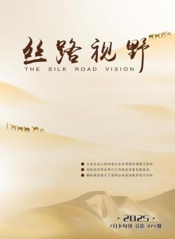 丝路视野期刊